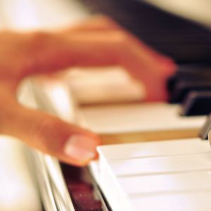 双手脚铐口球锁入笼子文
