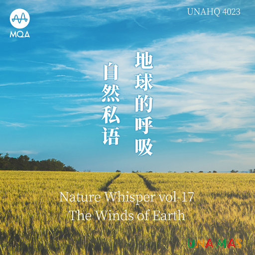 双手脚铐口球锁入笼子文
